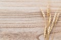 Top view, Dry brown ears of rice on the wood floor with copy space.