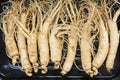 Top view of Dry Ginseng Roots. Royalty Free Stock Photo
