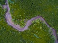 Top view of dry riverbed in green mangrove forest Royalty Free Stock Photo