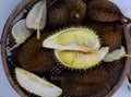 Durian fruit with yellow pulp, popular tropical fruits from agriculture product at Vietnam