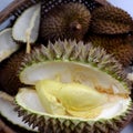 Durian fruit with yellow pulp, popular tropical fruits from agriculture product at Vietnam
