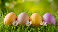 Top view Easter background with eggs, spring flowers, art Royalty Free Stock Photo
