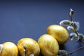 Top view easter composition with willow branch and eggs. Royalty Free Stock Photo