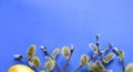 Top view easter composition with willow branch and eggs. Royalty Free Stock Photo