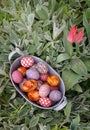 Top view of Easter decorated eggs in a vintage metal basket in a flower garden Royalty Free Stock Photo