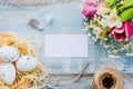 Top view of easter eggs in a nest. Spring flowers and feathers over blue rustic wood background. Empty card. Royalty Free Stock Photo