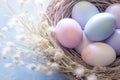 Top view Easter eggs in the nest and white gypsophila flowers