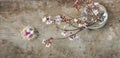 Top view of an Easter nest with white and pink freckled and spring tree branches on wooden background Royalty Free Stock Photo