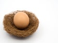 Top view of an egg place in a birdnest on a white background