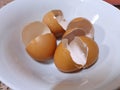 Top view of egg shell on white bowl as a background, Copy space Royalty Free Stock Photo