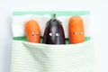 Top view of eggplant lying with two carrots in bed Royalty Free Stock Photo