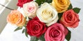 Eight roses seen from above Royalty Free Stock Photo