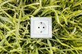 top view electric socket green grass. High quality photo