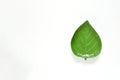 Top view empty decorative single green plate in  leaf shape on white background isolate with space for text Royalty Free Stock Photo