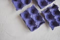 Top view of empty egg cartons, of blue-purple colors, to recycle, on white background, egg boxes Royalty Free Stock Photo