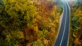 Top view of empty forest road with autumn colors. Aerial view of curvy road in beautiful foggy autumn forest Royalty Free Stock Photo