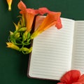 Top view of empty notepaper with fresh blossom flowers, romantic flat lay Royalty Free Stock Photo