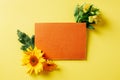 top view of empty orange card sunflower gerbera and lily flowers Royalty Free Stock Photo
