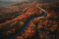 Top view of empty street leading though autumn forest.