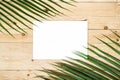 Top view empty white paper with palm leaf on wooden table background with copy space