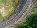 Top view an empty winding tarmac road with green trees and grass om roadside from drone aerial view.