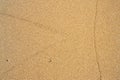 Top view of the empty yellow wet sandy beach. Background with visible texture. Close-up beach sand in the summer Royalty Free Stock Photo