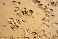 Top view of the empty yellow wet sandy beach. Background with visible texture and footprints. Close-up beach sand in the Royalty Free Stock Photo