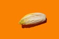 Top view of endive and chicory salad roots on a orange background, emphasizing a healthy organic food concept Royalty Free Stock Photo