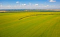 Top view of the endless fields of sunflower, virial photo Royalty Free Stock Photo