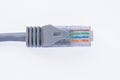 Top view of a Ethernet patch Internet cable for wired home and office networks Royalty Free Stock Photo