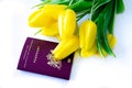 Top view of European biometric passport of Netherlands. Official passport of Netherlands with yellow tulips on white background.