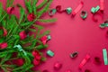 evergreen tree branches and confetti on a red background with free place for text Royalty Free Stock Photo
