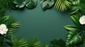 Top view exotic tropical leaves on a green background