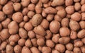 Top view of expanded lightweight clay pebbles Royalty Free Stock Photo