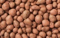 Top view of expanded lightweight clay pebbles