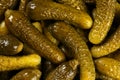 Top view, extreme close up of pickled gherkins small cucumbers. Macro food texture background with pickles