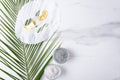 Top view eyes mask and facial mask, different kinds of cosmetic clay, exotic leaf on the white surface.Concept of using of modern Royalty Free Stock Photo