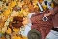 Top view of fashionable vintage style girl holding cup with coffee in autumn park Royalty Free Stock Photo