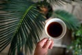 Top view of female hand holding cup of coffee, green background with houseplants. Royalty Free Stock Photo