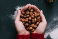 Hands full of hazelnuts, close up, top view