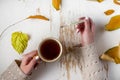 Top view of female hands holding cup of tea and thermometer on shabby table with yellow scattered leaves Royalty Free Stock Photo