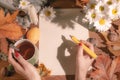 Top view of female hands holding a pencil and autumn dry leaves Mockup clipboard with a blank sheet of white paper. Creative Royalty Free Stock Photo