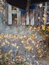 Top view of female legs with brown boots on a background of yellow autumn leaves and a wooden platform. Copy space Royalty Free Stock Photo