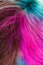 Top view of female multicolored dyed hairs