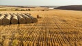 Top view field with golden harvested bales of straw
