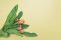 Top view of first spring bouquet of orange tulips on beige background with copy space Royalty Free Stock Photo