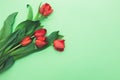 Top view of first spring bouquet of red tulips on light green background with copy space Royalty Free Stock Photo