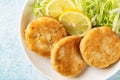 Top view of Fish cakes or burger, or cutlets. Made from ground perch and tuna