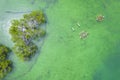 Top view of Fishing boats anchored at shallow waters at a mangrove area in Calape, Bohol Royalty Free Stock Photo