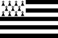 Top view of flag Brittany, Gwenn ha du, France. French travel and patriot concept. no flagpole. Plane design, layout. Flag